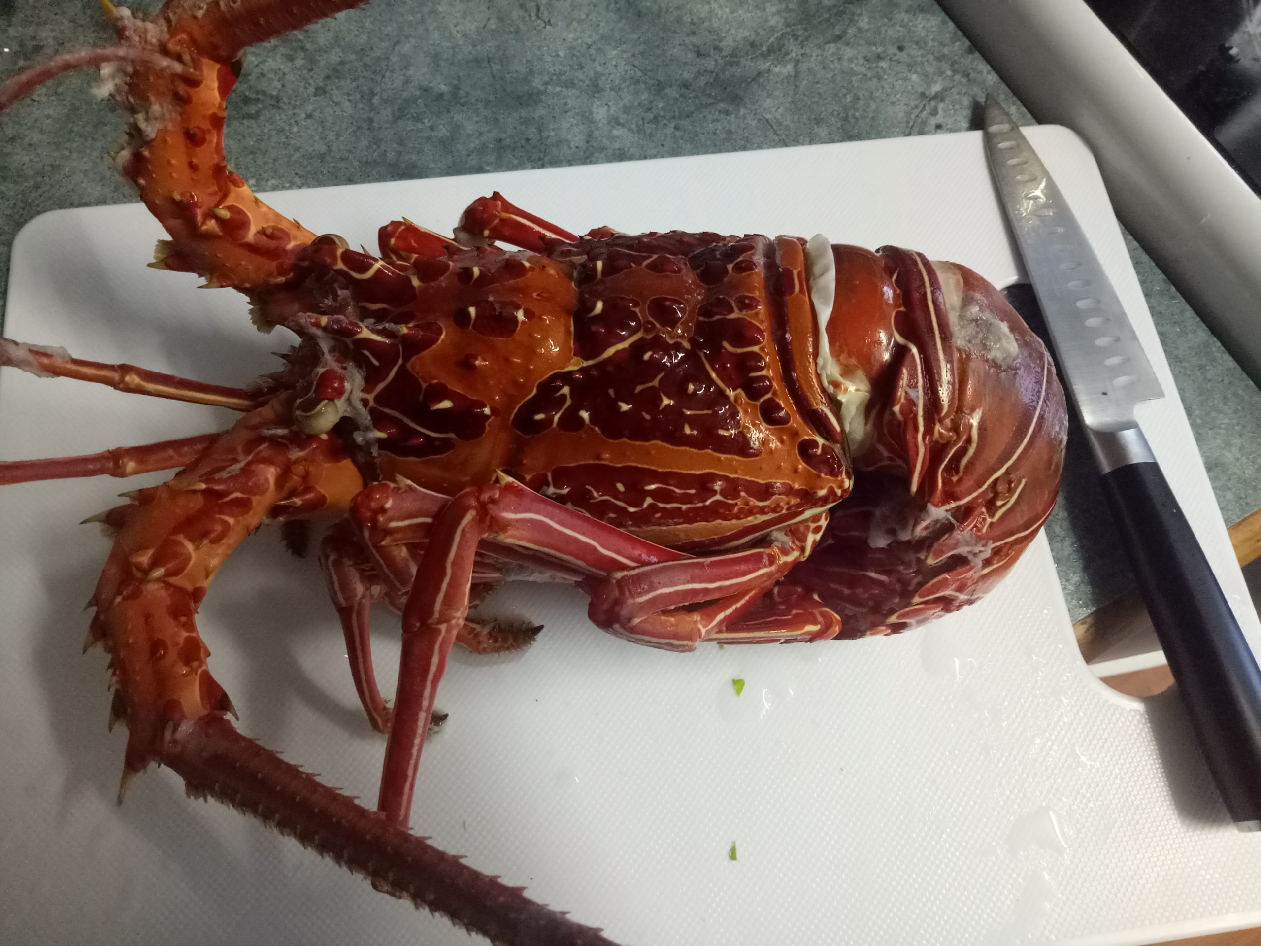 Crayfish 伊勢海老かニシキエビ もらってオーストラリアで料理した G Day Mate